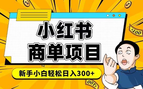 小红书千粉商单，稳定快速变现项目，实现月入6-8k并不是很难|无忧资源社