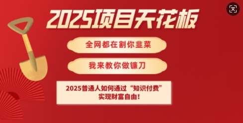 2025项目天花板普通人如何通过知识付费，实现财F自由【揭秘】|无忧资源社