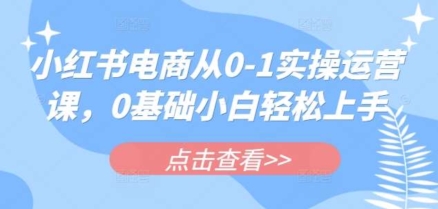 小红书电商从0-1实操运营课，0基础小白轻松上手|无忧资源社