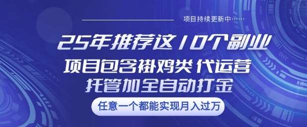 25年推荐这10个副业项目包含褂鸡类、代运营托管类、全自动打金类【揭秘】|无忧资源社