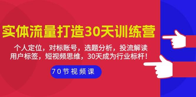 （9782期）实体-流量打造-30天训练营：个人定位，对标账号，选题分析，投流解读-70节|无忧资源社