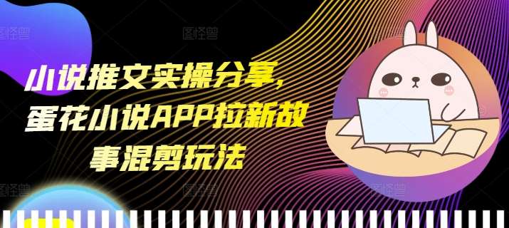 小说推文实操分享，蛋花小说APP拉新故事混剪玩法|无忧资源社