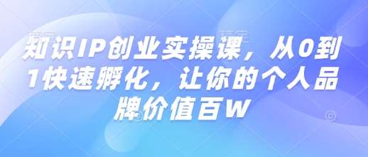 知识IP创业实操课，从0到1快速孵化，让你的个人品牌价值百W|无忧资源社
