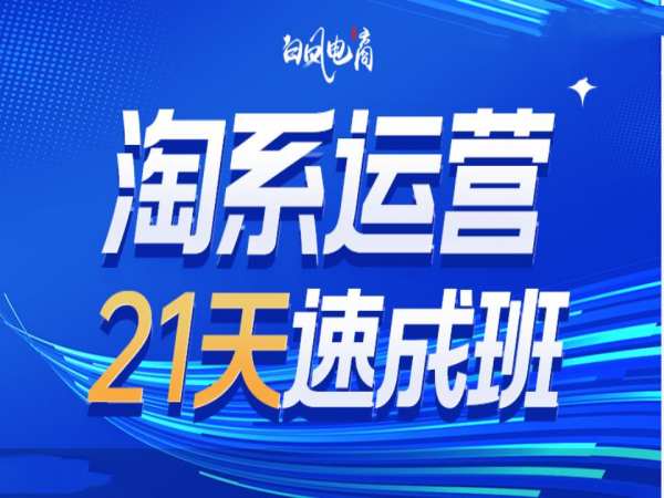 淘系运营21天速成班35期，年前最后一波和2025方向|无忧资源社