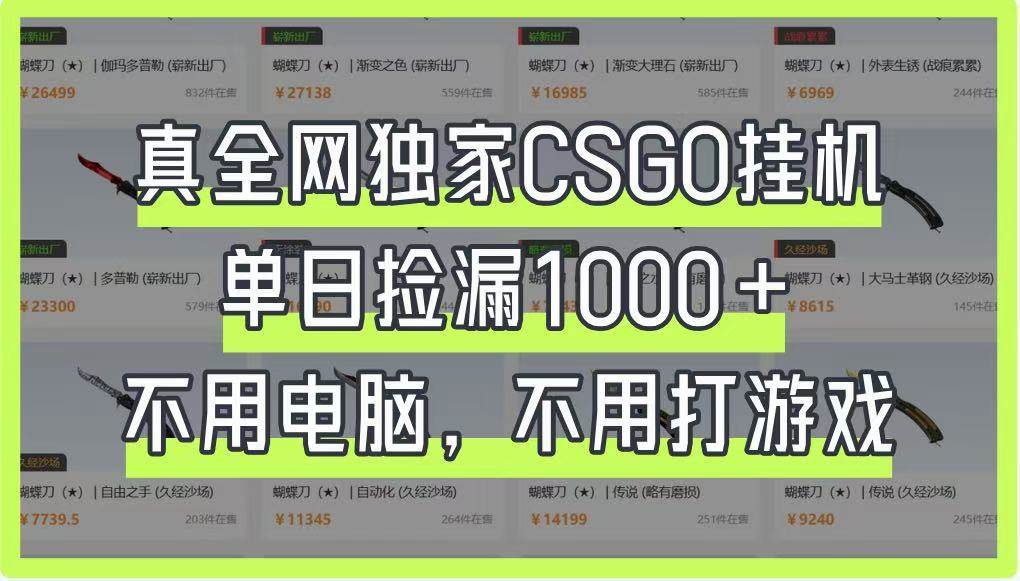 真全网独家CSGO挂机，单日捡漏1000+，不用电脑，不用养号|无忧资源社