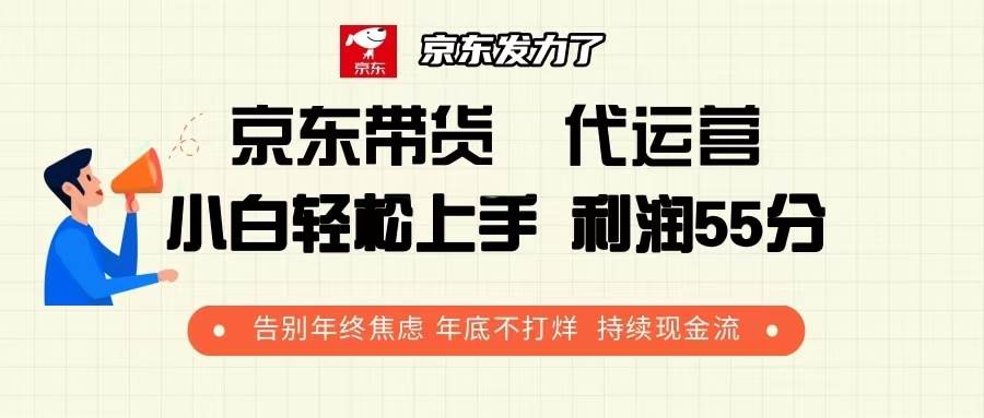 （13833期）京东带货 代运营 利润55分 告别年终焦虑 年底不打烊 持续现金流|无忧资源社