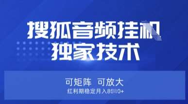 【搜狐音频挂G】独家技术，可矩阵可放大，红利期稳定月入8k【揭秘】|无忧资源社