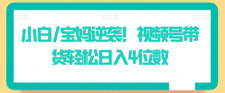 小白/宝妈逆袭！视频号带货轻松日入4位数【揭秘】|无忧资源社