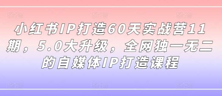 小红书IP打造60天实战营11期，5.0大升级，全网独一无二的自媒体IP打造课程|无忧资源社