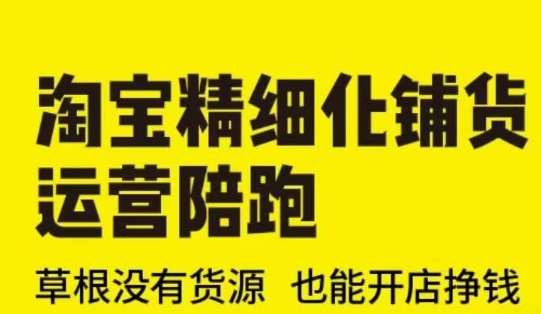 淘宝精细化铺货运营陪跑(部分更新至2025)，草根没有货源 也能开店挣钱|无忧资源社