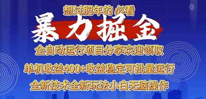 （13675期）2025暴力掘金项目，想过肥年必看！|无忧资源社