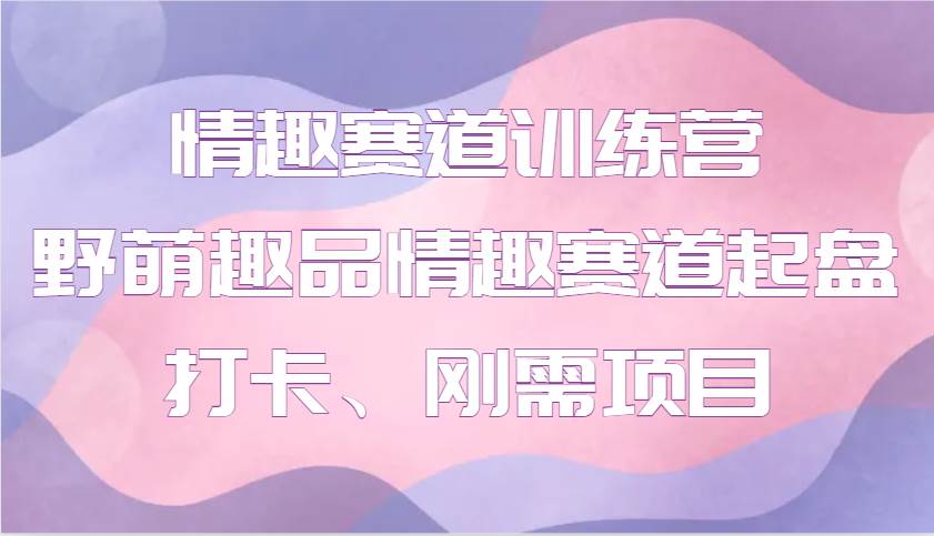 情趣赛道训练营 野萌趣品情趣赛道起盘打卡、刚需项目|无忧资源社