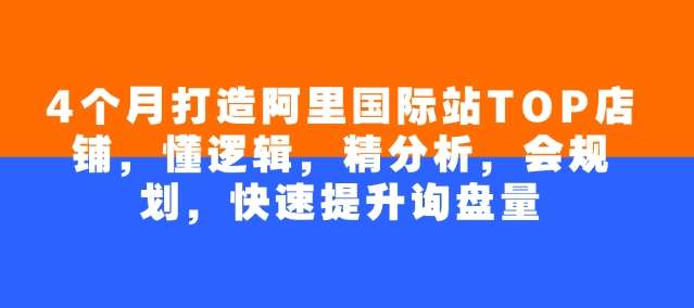 4个月打造阿里国际站TOP店铺，懂逻辑，精分析，会规划，快速提升询盘量|无忧资源社