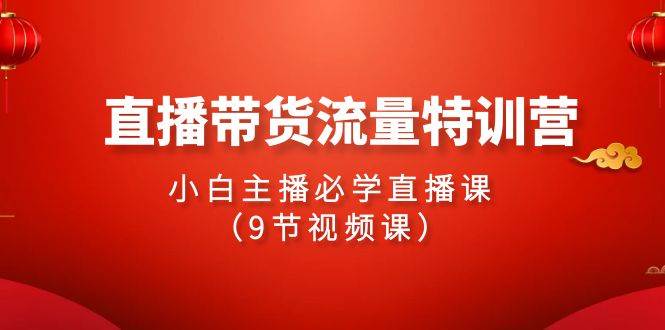 2024直播带货流量特训营，小白主播必学直播课（9节视频课）|无忧资源社