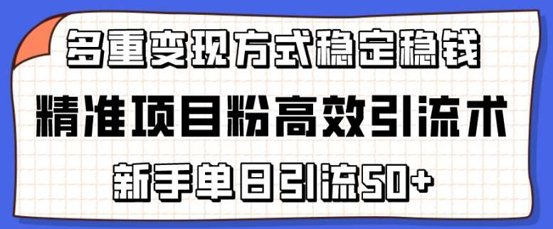 精准项目粉高效引流术，新手单日引流50+，多重变现方式稳定赚钱【揭秘】|无忧资源社
