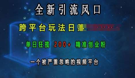 全新引流风口，跨平台玩法日入上k，单日狂揽200+精准创业粉，一个被严重忽略的视频平台|无忧资源社