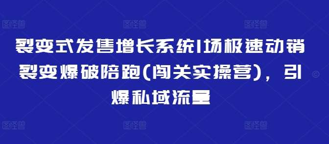 裂变式发售增长系统1场极速动销裂变爆破陪跑(闯关实操营)，引爆私域流量|无忧资源社