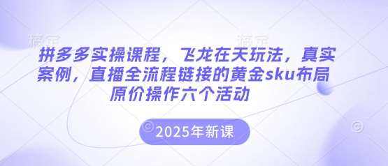 拼多多实操课程，飞龙在天玩法，真实案例，直播全流程链接的黄金sku布局原价操作六个活动|无忧资源社