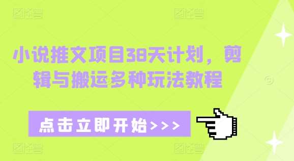 小说推文项目38天计划，剪辑与搬运多种玩法教程|无忧资源社