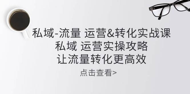 （10739期）私域-流量 运营&转化实操课：私域 运营实操攻略 让流量转化更高效|无忧资源社