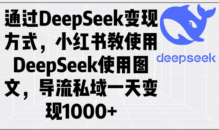 （14179期）通过DeepSeek变现方式，小红书教使用DeepSeek图文，导流私域一天变现1000+|无忧资源社