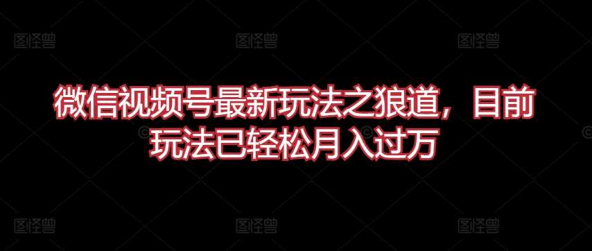 微信视频号最新玩法之狼道，目前玩法已轻松月入过万【揭秘】|无忧资源社