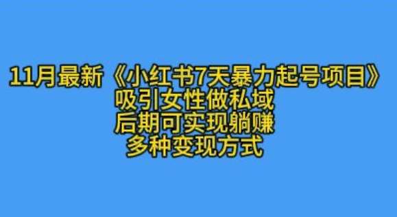 K总部落11月最新小红书7天暴力起号项目，吸引女性做私域【揭秘】|无忧资源社
