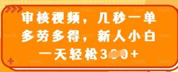 审核视频，几秒一单，多劳多得，新人小白一天轻松3张【揭秘】|无忧资源社