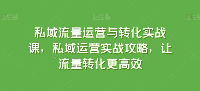 私域流量运营与转化实战课，私域运营实战攻略，让流量转化更高效|无忧资源社
