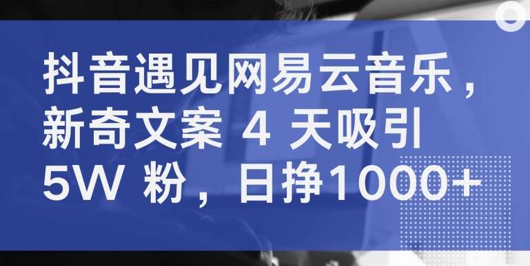 抖音遇见网易云音乐，新奇文案 4 天吸引 5W 粉，日挣1000+【揭秘】|无忧资源社