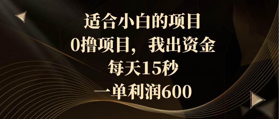 （8571期）适合小白的项目，0撸项目，我出资金，每天15秒，一单利润600|无忧资源社