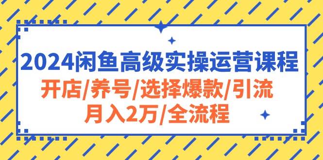（10711期）2024闲鱼高级实操运营课程：开店/养号/选择爆款/引流/月入2万/全流程|无忧资源社