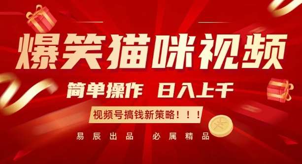 爆笑猫咪视频：简单操作，日入过K，视频号搞钱新策略【揭秘】|无忧资源社