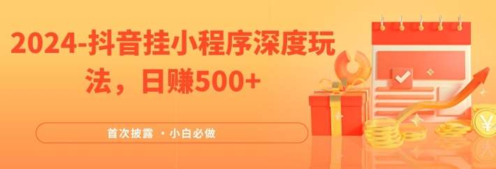 2024全网首次披露，抖音挂小程序深度玩法，日赚500+，简单、稳定，带渠道收入，小白必做【揭秘】|无忧资源社