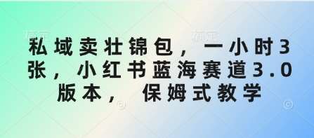 私域卖壮锦包，一小时3张，小红书蓝海赛道3.0版本， 保姆式教学|无忧资源社