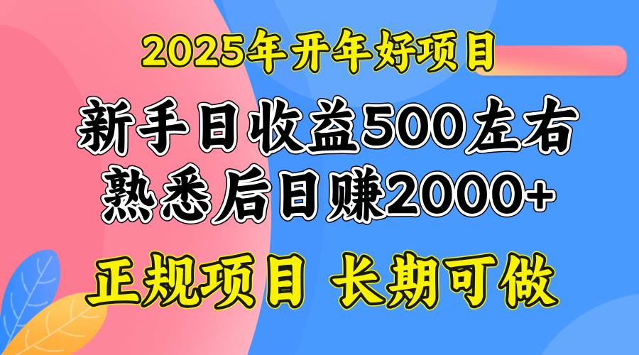 （14076期）2025开年好项目，单号日收益2000左右|无忧资源社