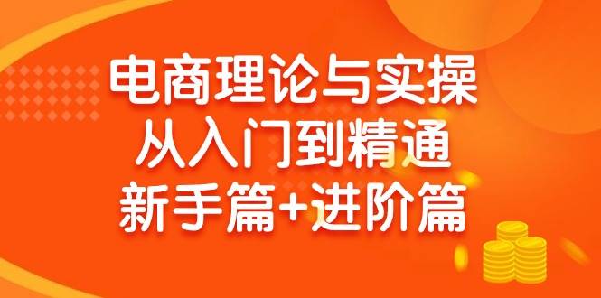 （9576期）电商理论与实操从入门到精通 新手篇+进阶篇|无忧资源社