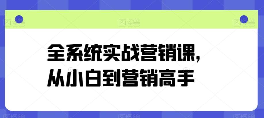 全系统实战营销课，从小白到营销高手|无忧资源社