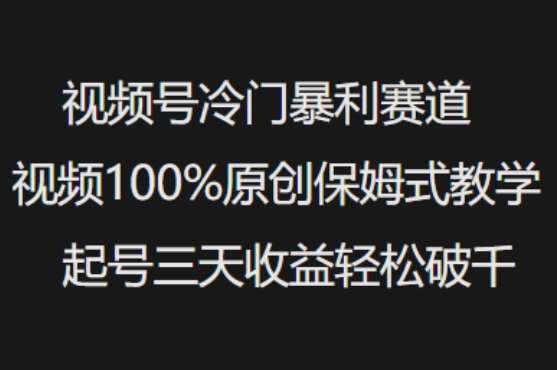 视频号冷门暴利赛道视频100%原创保姆式教学起号三天收益轻松破千|无忧资源社