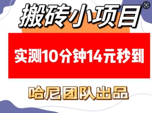 搬砖小项目，实测10分钟14元秒到，每天稳定几张(赠送必看稳定)|无忧资源社
