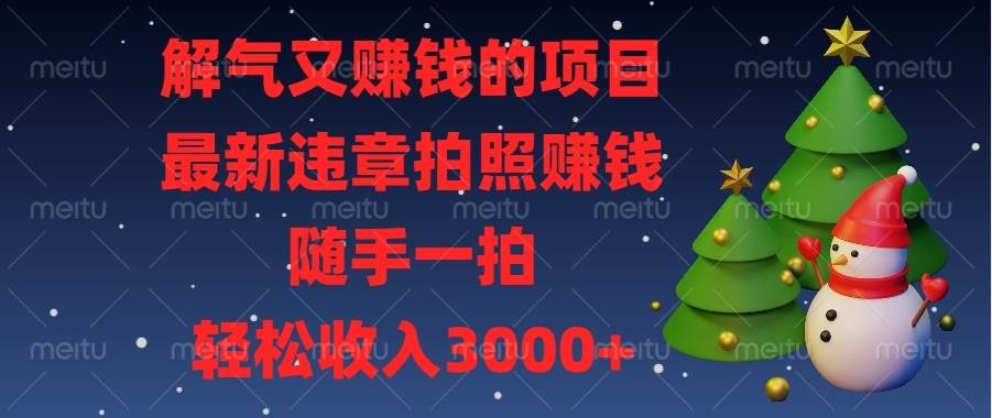 （13804期）解气又赚钱的项目，最新违章拍照赚钱，随手一拍，轻松收入3000+|无忧资源社