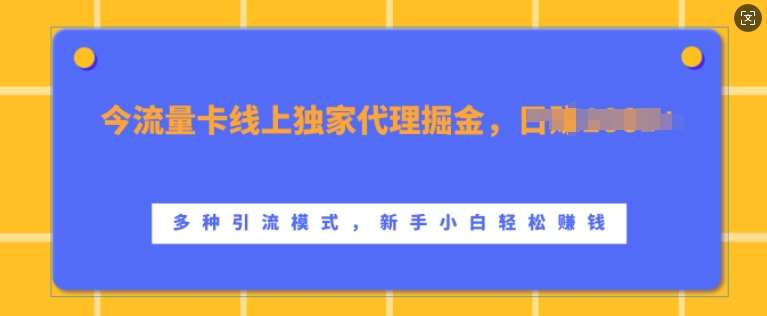 流量卡线上独家代理掘金，日入1k+ ，多种引流模式，新手小白轻松上手【揭秘】|无忧资源社