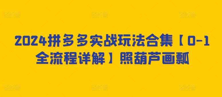 2024拼多多实战玩法合集【0-1全流程详解】照葫芦画瓢|无忧资源社