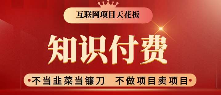 2024互联网项目天花板，新手小白也可以通过知识付费月入10W，实现财富自由【揭秘】|无忧资源社