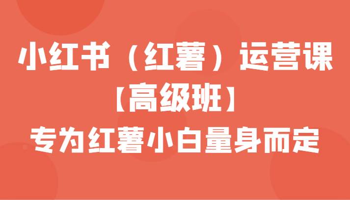 小红书（红薯）运营课【高级班】，专为红薯小白量身而定（42节课）|无忧资源社