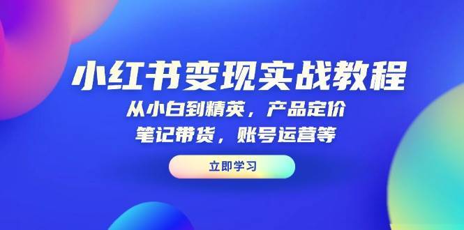 小红书变现实战教程：从小白到精英，产品定价，笔记带货，账号运营等|无忧资源社