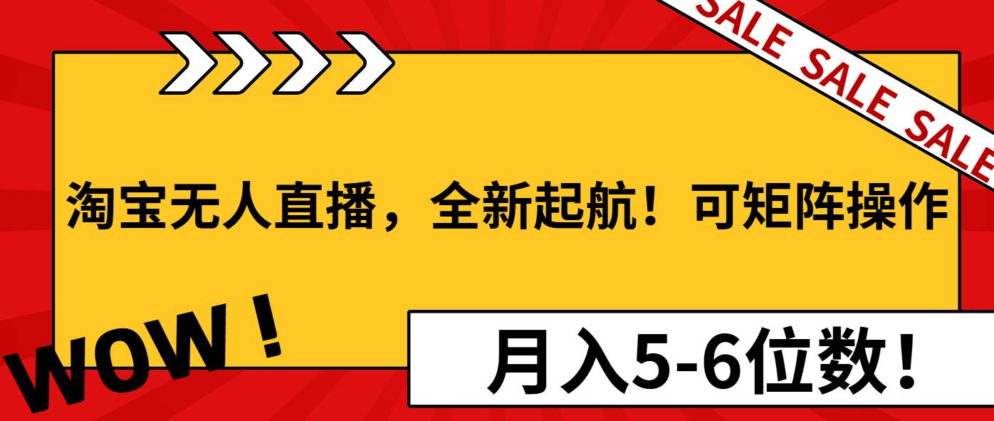 （13946期）淘宝无人直播，全新起航！可矩阵操作，月入5-6位数！|无忧资源社