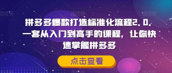 拼多多爆款打造标准化流程2.0，一套从入门到高手的课程，让你快速掌握拼多多|无忧资源社
