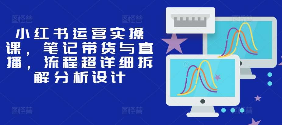 小红书运营实操课，笔记带货与直播，流程超详细拆解分析设计|无忧资源社