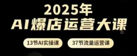 2025年AI爆店运营大课，13节AI实操课+37节流量运营课|无忧资源社